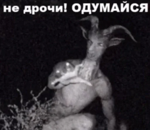 животное млекопитающее