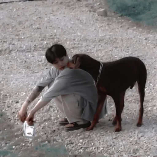 земля млекопитающее животное