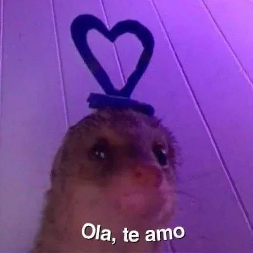 Sticker jzPfKfDHhHSrE_by_stickers_stealer_bot - 1