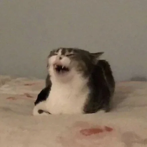 Sticker jzPfKfDHhHSrE_by_stickers_stealer_bot - 1