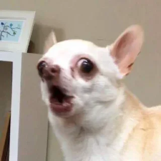 Sticker Больше стикеров 👉🏻 @stickertg4 - 9