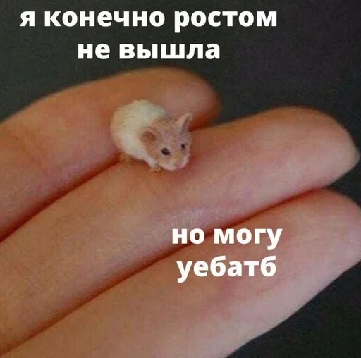 Стикер для колобка) :: @fStikBot - 4