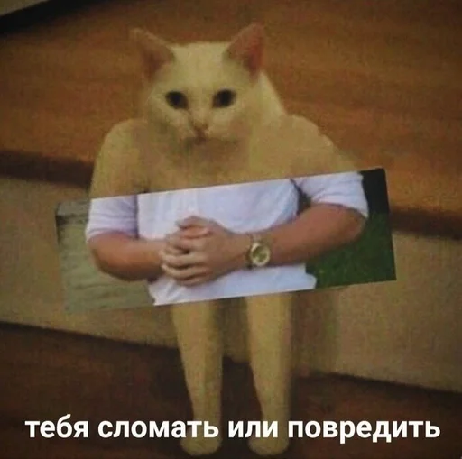 Стикер для колобка) :: @fStikBot - 0