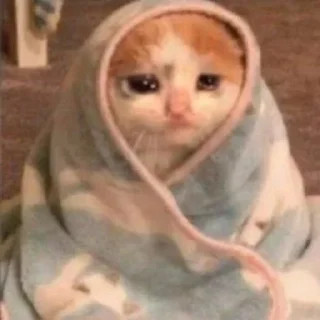 Стикер ♡𝙠𝙞𝙩𝙩𝙚𝙣𝙨 𝙗𝙮 @whirlpooll♡ - 3