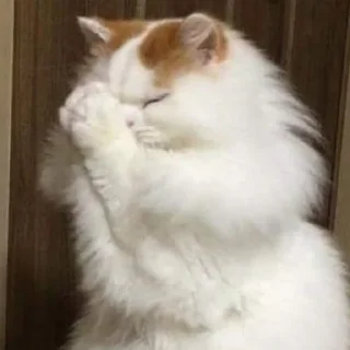 Стикер ♡𝙠𝙞𝙩𝙩𝙚𝙣𝙨 𝙗𝙮 @whirlpooll♡ - 11