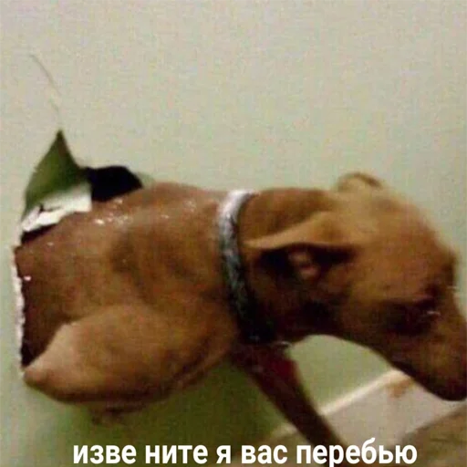 Стикер k1ndEmoji - 11