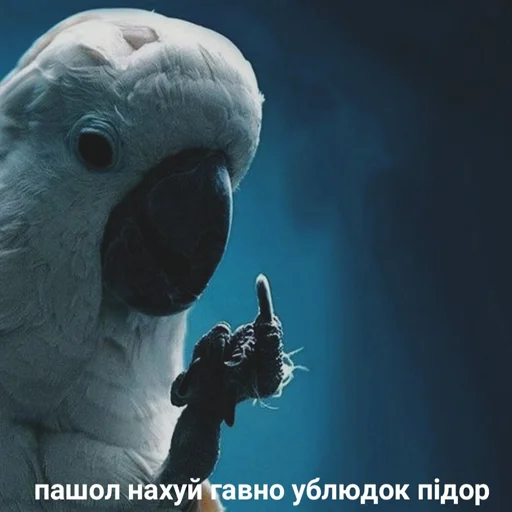 Стикер k1ndEmoji - 8