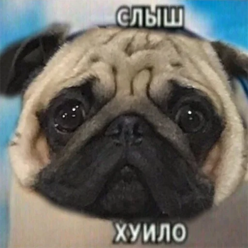 Стикер k1ndEmoji - 7