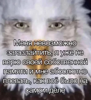 Sticker мемы - 4