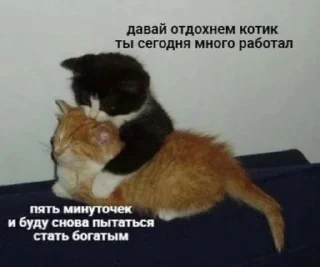 Sticker мемы - 8