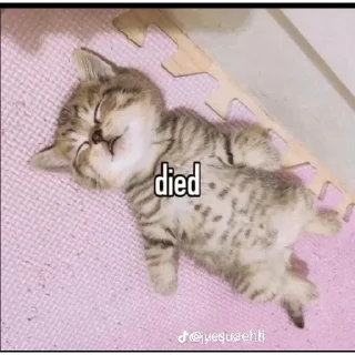 Стикер Больше стиков тут: @stikery4 - 5