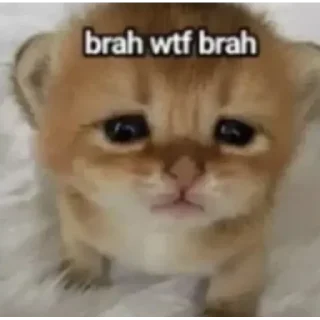 Стикер Больше стиков тут: @stikery4 - 2