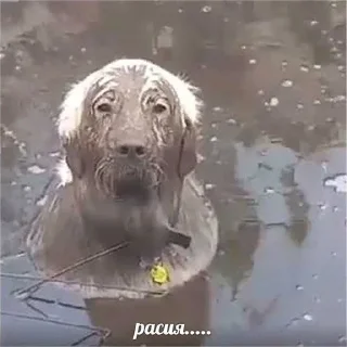 Sticker Больше стикеров 👉🏻 @stickertg4 - 2