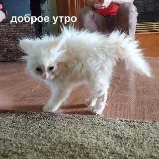 Sticker Больше стикеров 👉🏻 @stickertg4 - 6