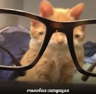 Sticker Больше стикеров 👉🏻 @stickertg4 - 5