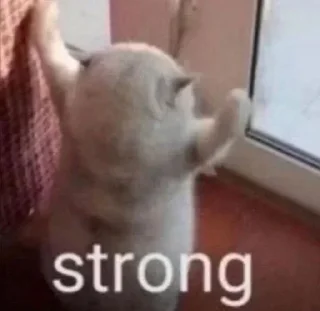 Sticker Больше стикеров 👉🏻 @stickertg4 - 10