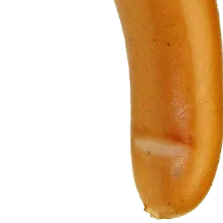 Стикер Стикеры: @sticktalkru - 7