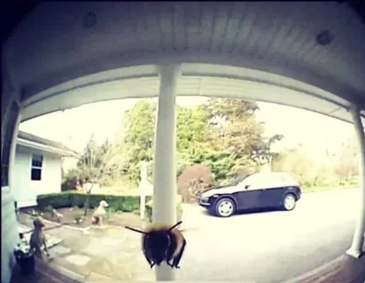 Больше: @sbornik_stickers - 