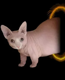 Стикер Больше: @sbornik_stickers - 11