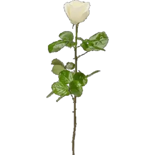 Sticker Больше стиков тут: @stikiin - 10