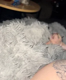 Стикер Создать Стикеры 👉@EmojiCatalogbot - 2