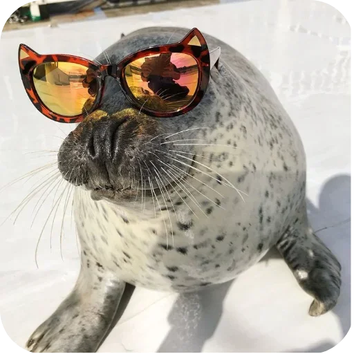 Больше стиков тут: @stikery4 - 