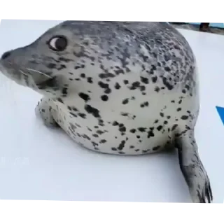 Sticker Больше стиков тут: @stikery4 - 8