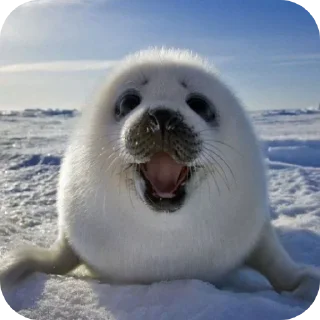 Sticker Больше стиков тут: @stikery4 - 4