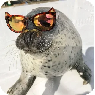 Sticker Больше стиков тут: @stikery4 - 5