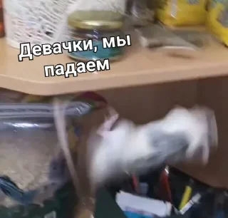 Стикер Больше стикеров 👉🏻 @stickertg4 - 7