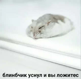 Стикер Больше стикеров 👉🏻 @stickertg4 - 2