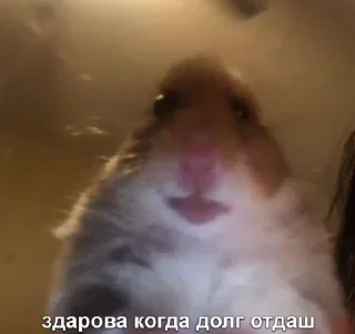 Стикер Больше стикеров 👉🏻 @stickertg4 - 4