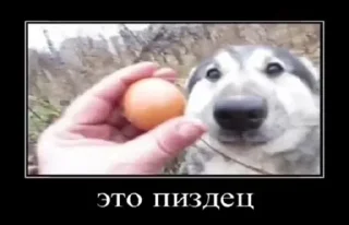 Стикер Больше стикеров: @sticerru - 7