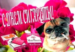 Стикер божеблять (Created By: @StikerProBot) - 1