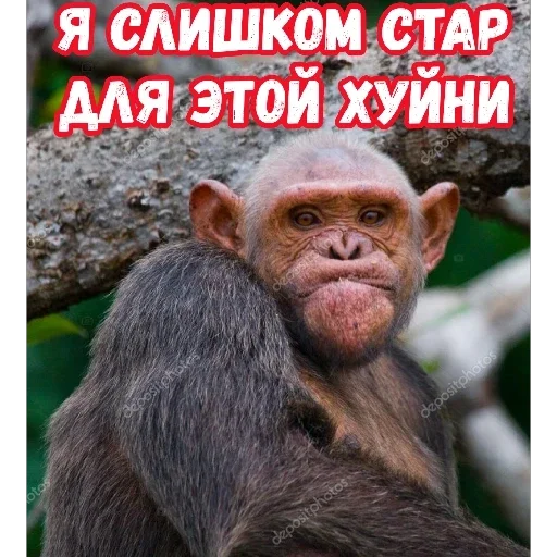 Стикер kUrBgPD_by_sticker4006Bot - 1