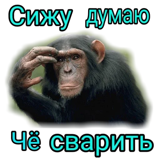 Sticker kUrBgPD_by_sticker4006Bot - 1