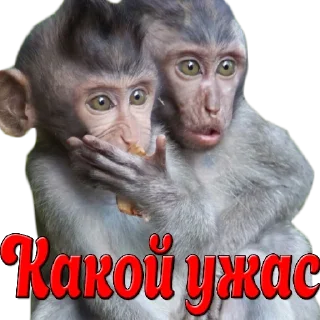 Sticker прикол - 3