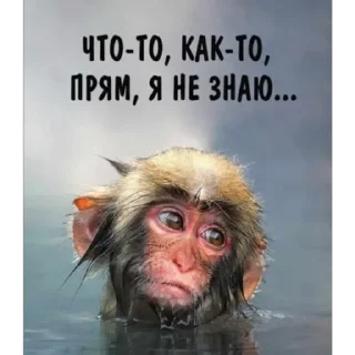 Sticker прикол - 9