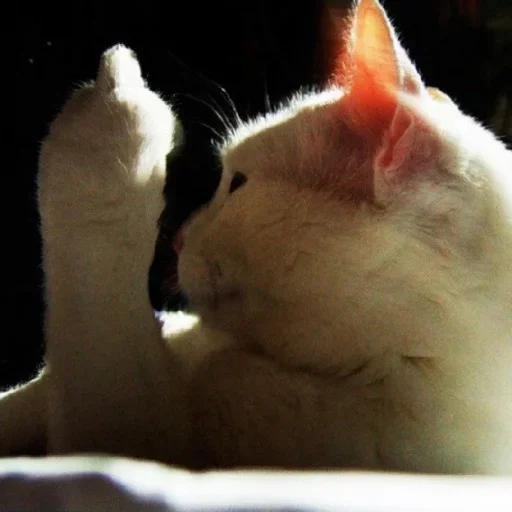 Стикер kVovdYGq_by_sozdat_stickeri_bot - 1