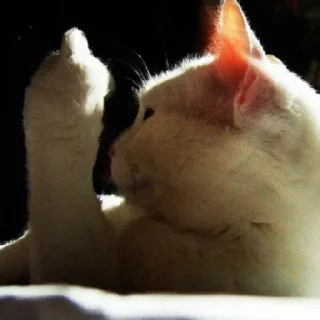 Стикер Пак создан в @sozdat_stickeri_bot - 3