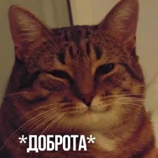 Sticker Больше стиков тут: @stikery4 - 0