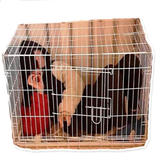 pet supply animal shelter cage