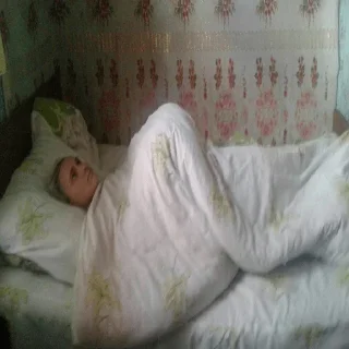 Sticker кабан тащит - 4