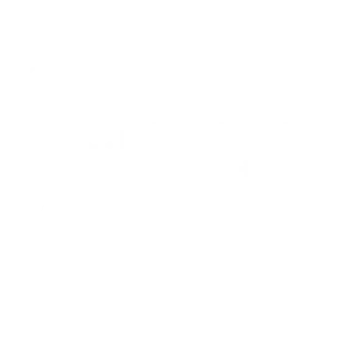 Стикер кабанчик - 1