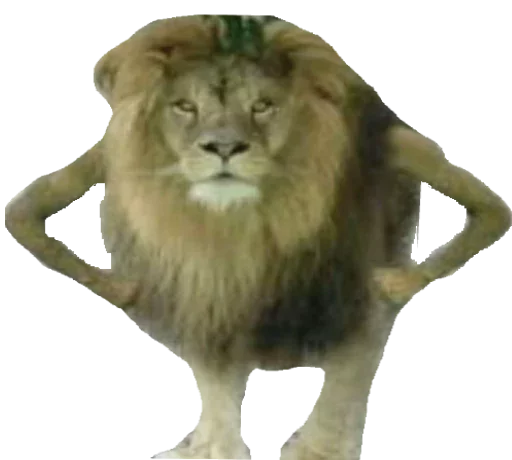 Стикер porkys - 8