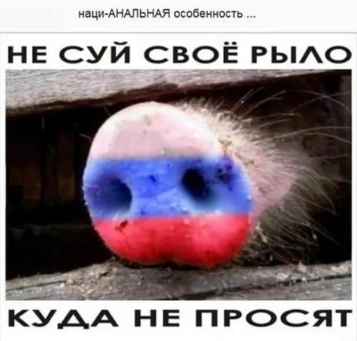 СМС мультфильм скриншот