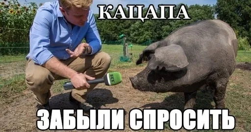 животное млекопитающее на открытом воздухе