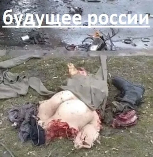 СМС млекопитающее на открытом воздухе