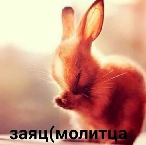 Sticker aboba :: @fStikBot - 9