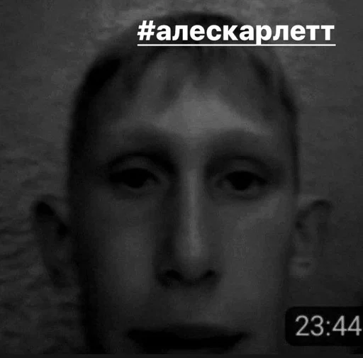 Стикер #чбалёшкадорианский :: @fStikBot - 1